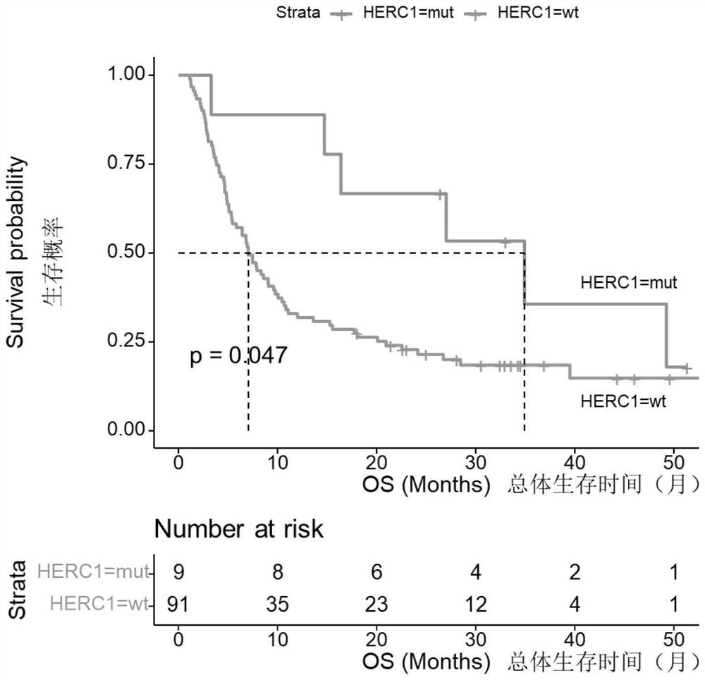 Biomarker for predicting sensitivity of melanoma patient to immunotherapy, application and device