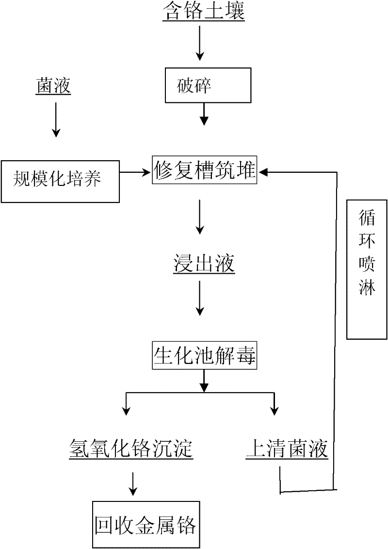 Method and device for biochemically recharging and restoring polluted soils in chromium slag yard
