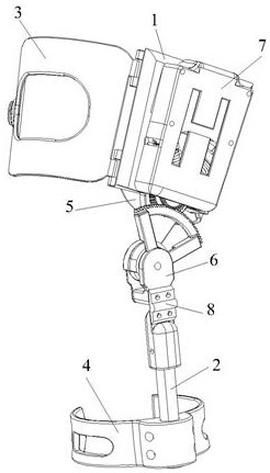 Ratchet wheel-bevel gear transmission knee joint negative work capturing lower limb exoskeleton