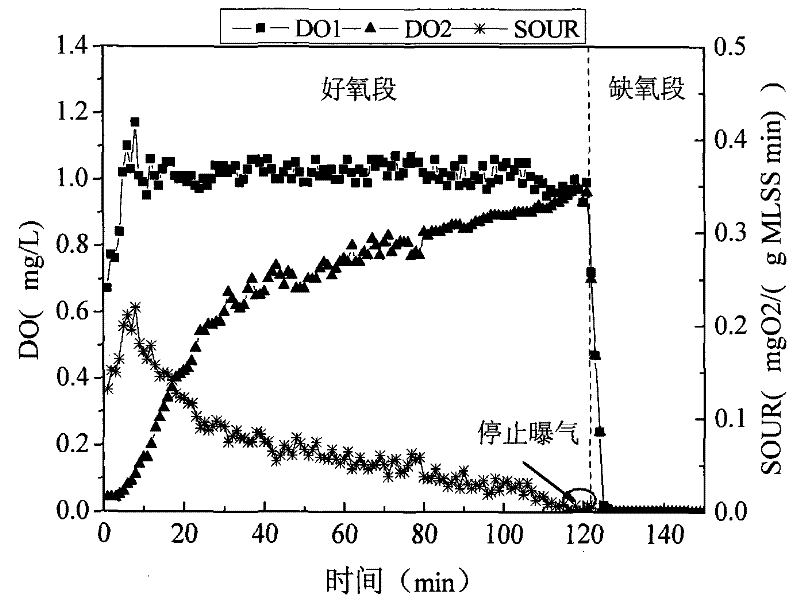 Method for detecting dynamic specific oxygen utilization rate of activated sludge system