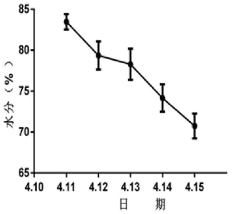 Silage rape feed as well as preparation method and application thereof