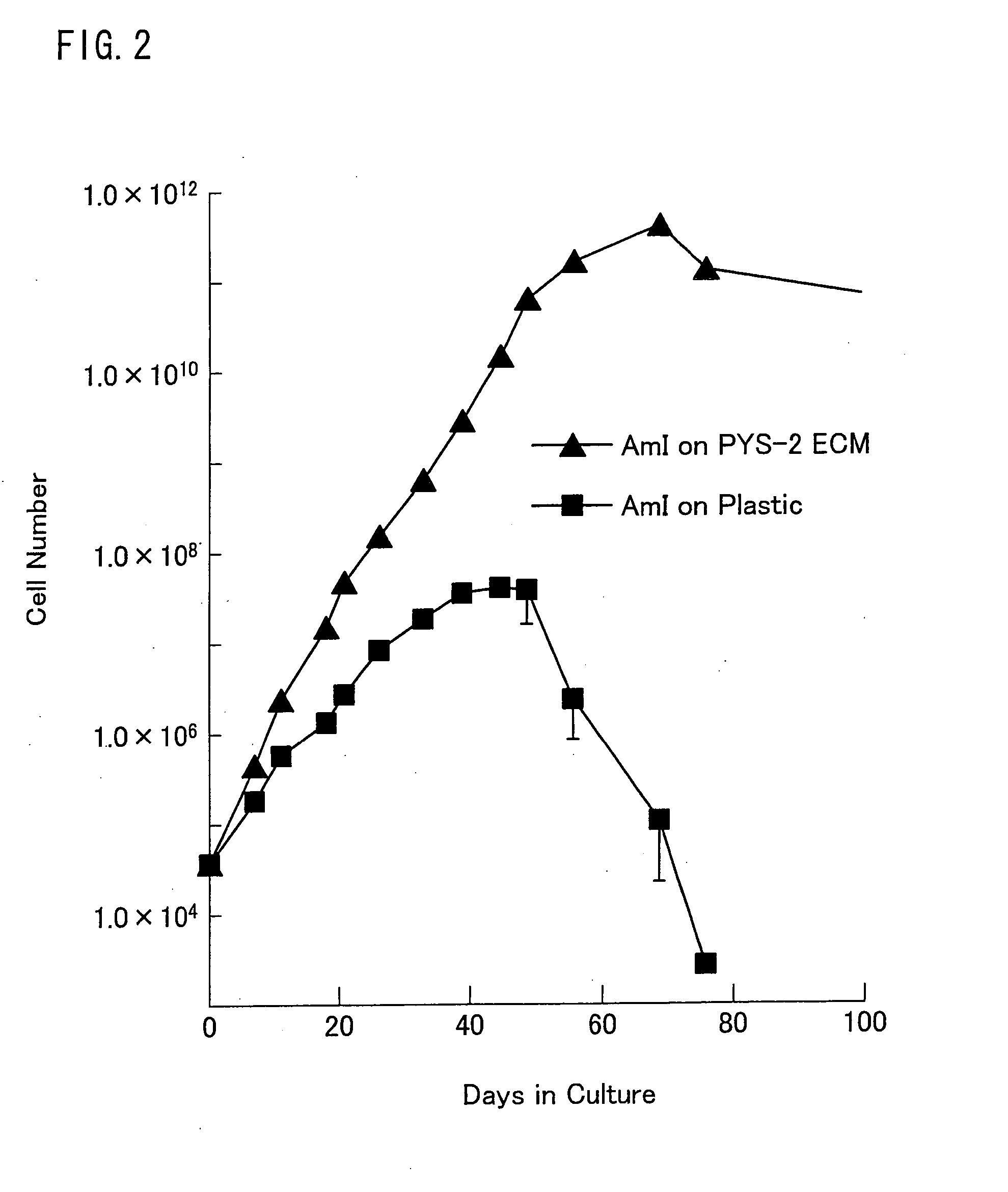 Method Of Inducing The Differentiation Of Amnion-Derived Cells And Utilization Of The Same