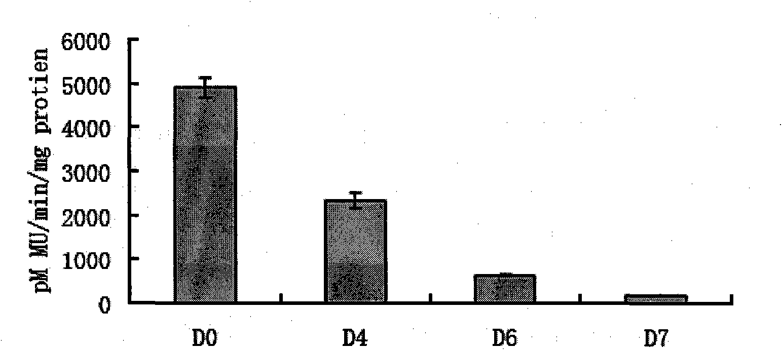 Protein AtL1L related to seed fatty acid synthesis as well as encoding gene and applications thereof