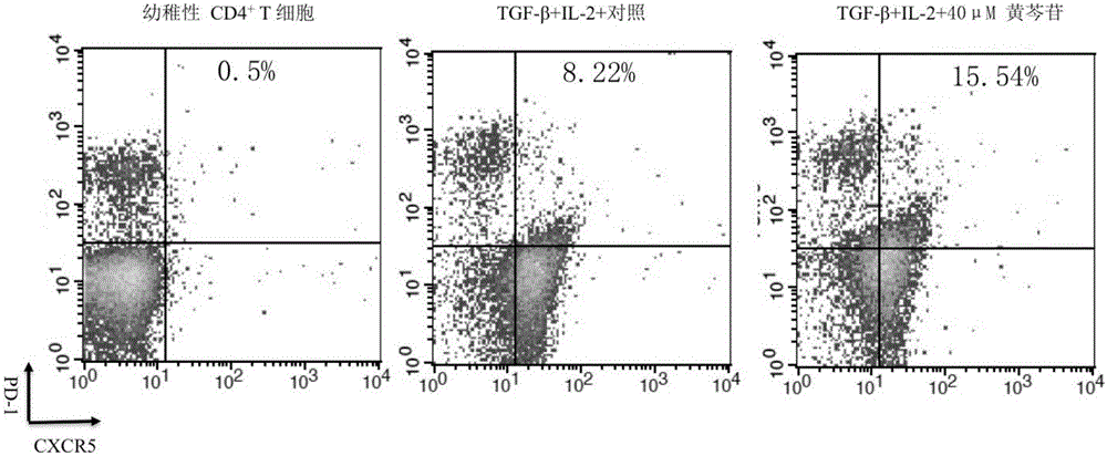 Composition and method conducive to acquiring follicular regulatory T cells in vitro and application of composition