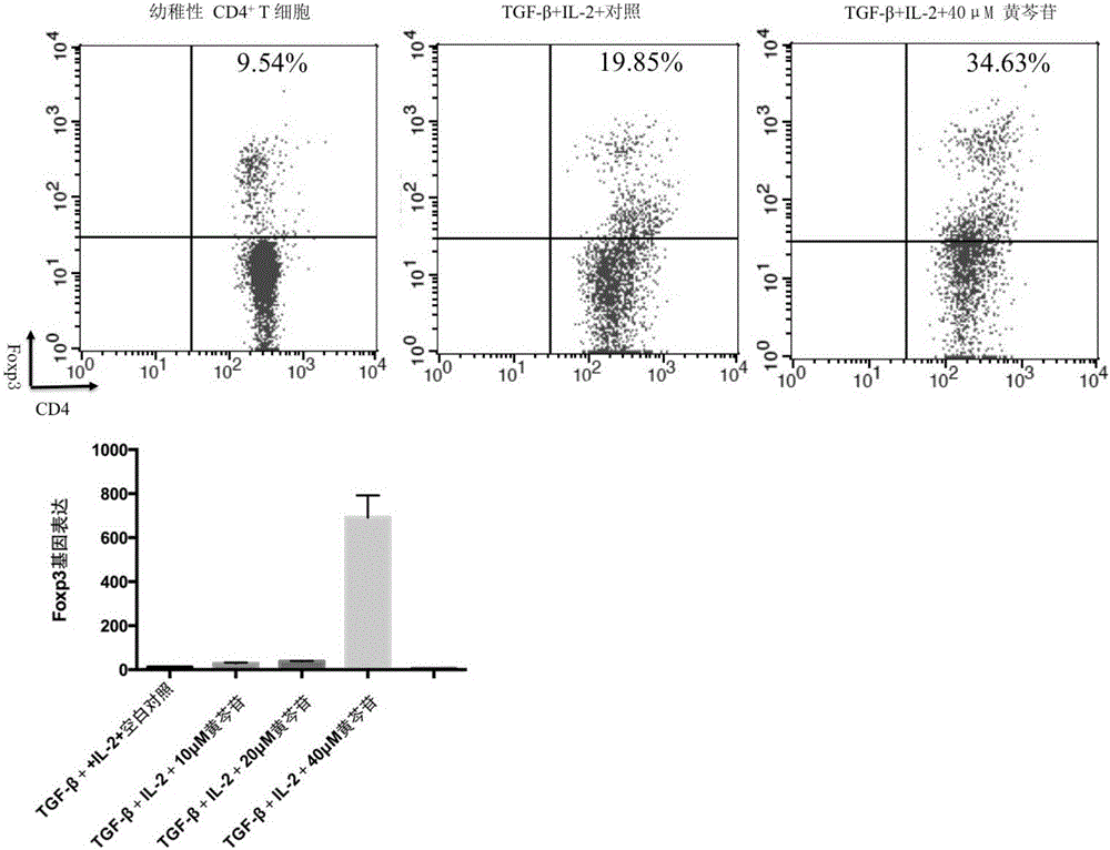 Composition and method conducive to acquiring follicular regulatory T cells in vitro and application of composition