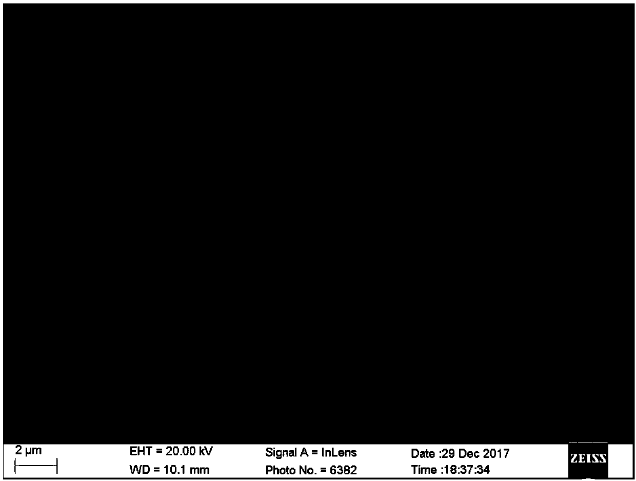 Degradation strain JN3 for petroleum hydrocarbons in oily sludge and application thereof