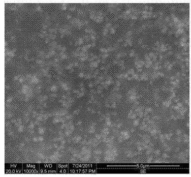 Preparation method of particle-enhanced organic anticorrosive coating on surface of neodymium-iron-boron permanent magnet material