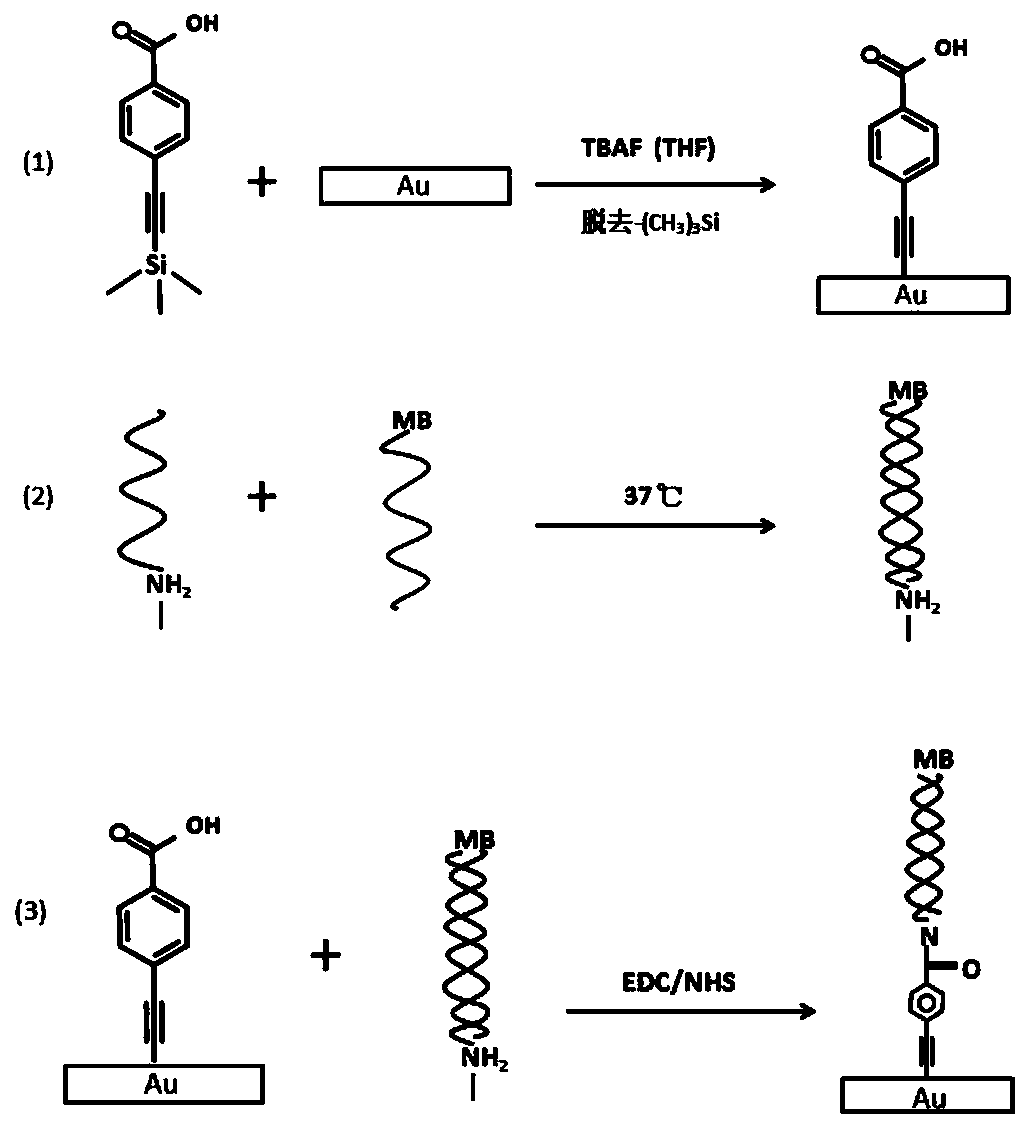 A kind of construction method of highly stable nucleic acid sensor