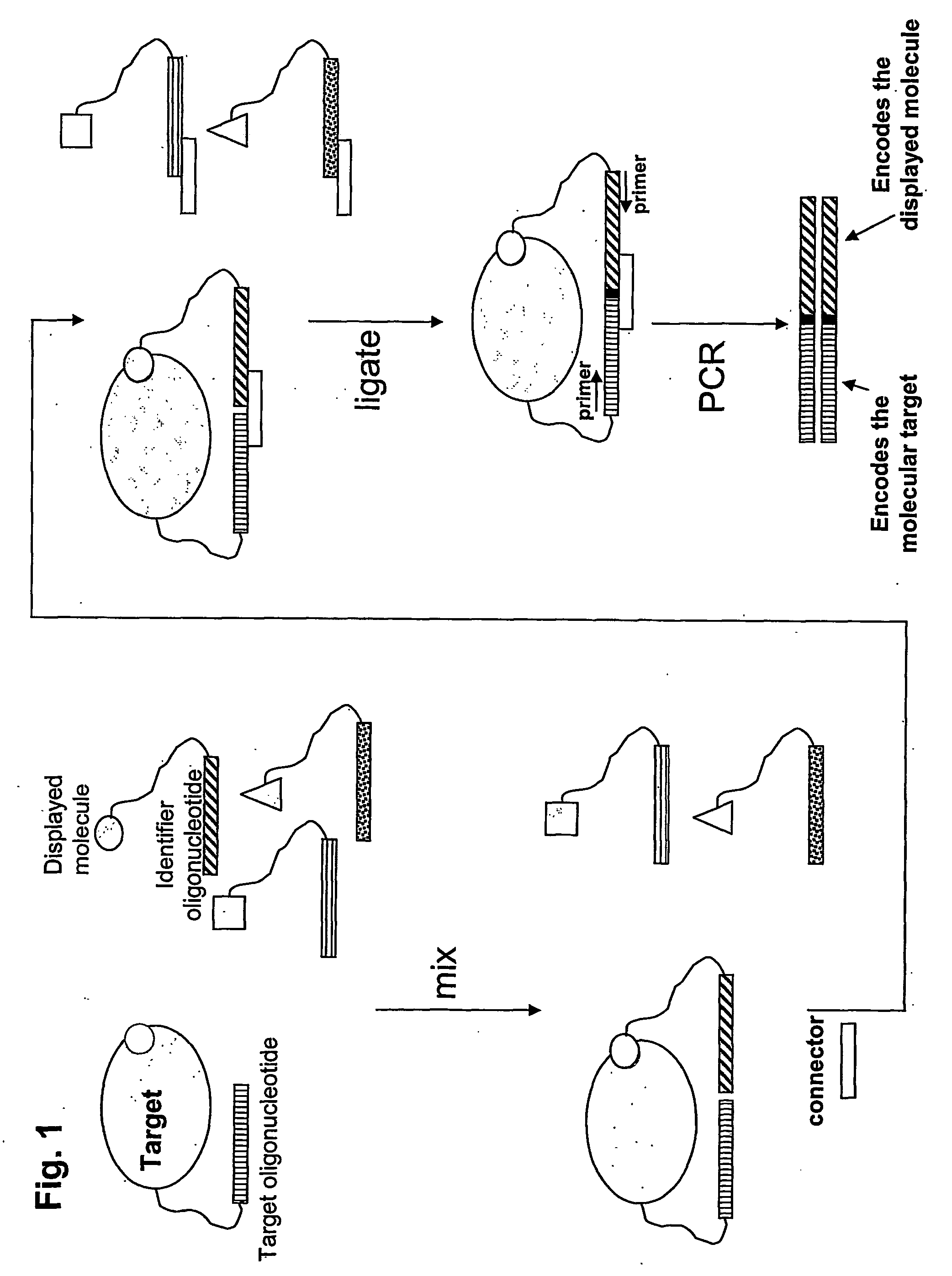 Method for Obtaining Structural Information Concerning an Encoded Molecule and Method for Selecting Compounds