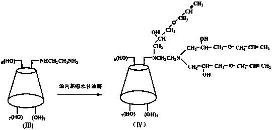 6-site monosubstituted-beta-cyclodextrin functional monomer and preparation method thereof