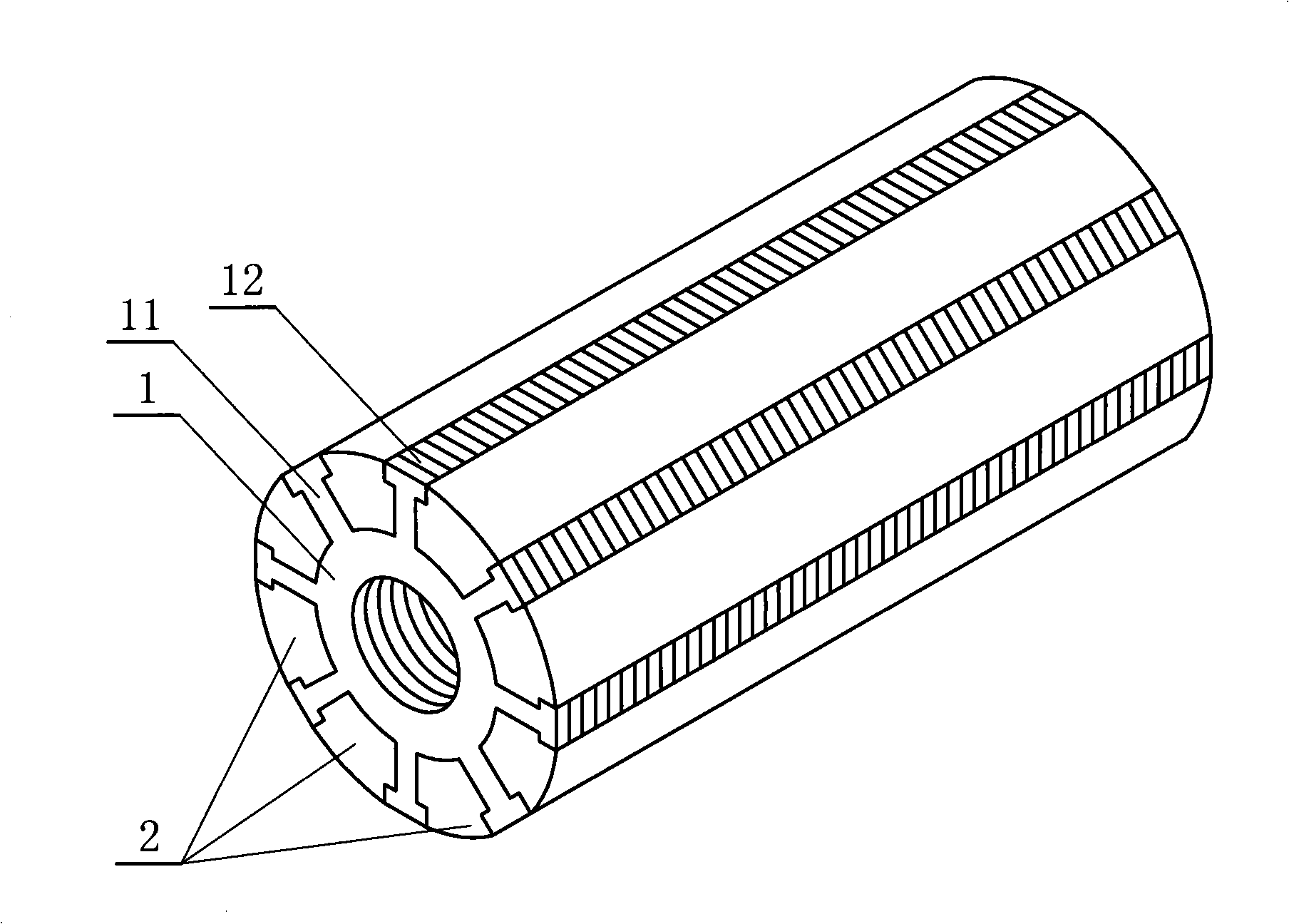 Brushless electric motor rotor