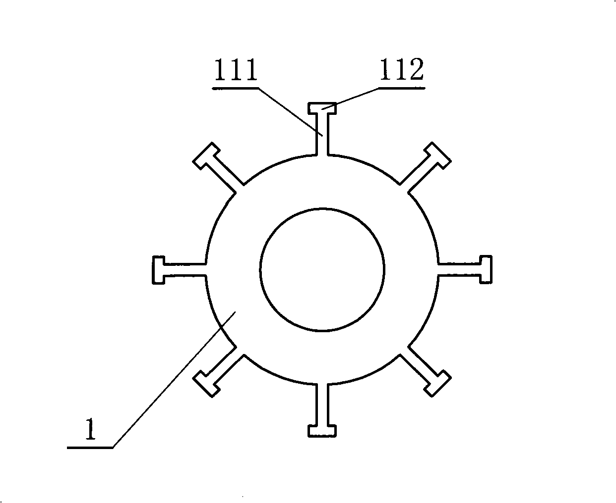 Brushless electric motor rotor