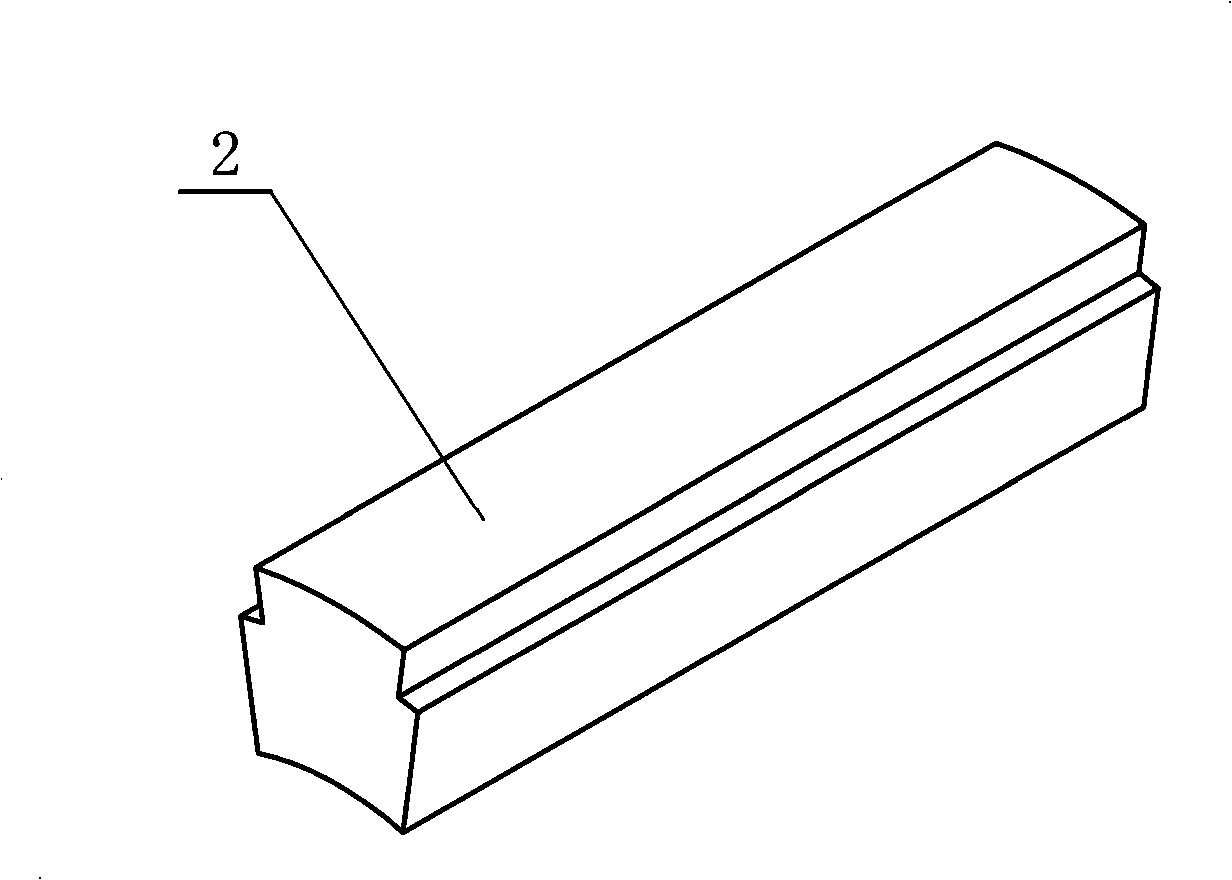 Brushless electric motor rotor