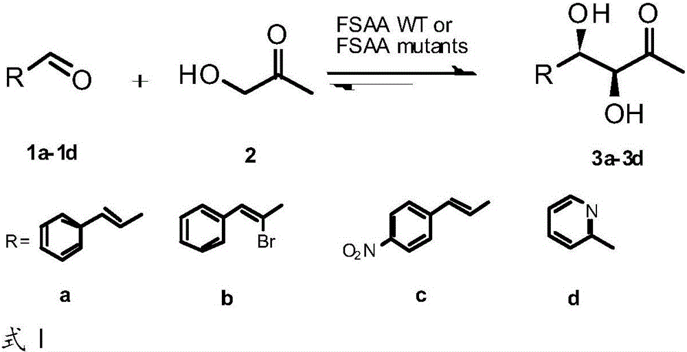 D-fructose-6-phosphate aldolase A mutant, recombinant expression vector, genetically engineered bacterium and application and reaction product thereof