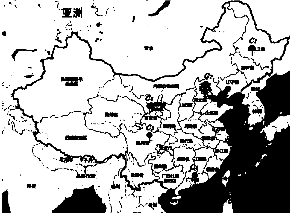 Method for selecting cloud computing service node in underdeveloped network environment