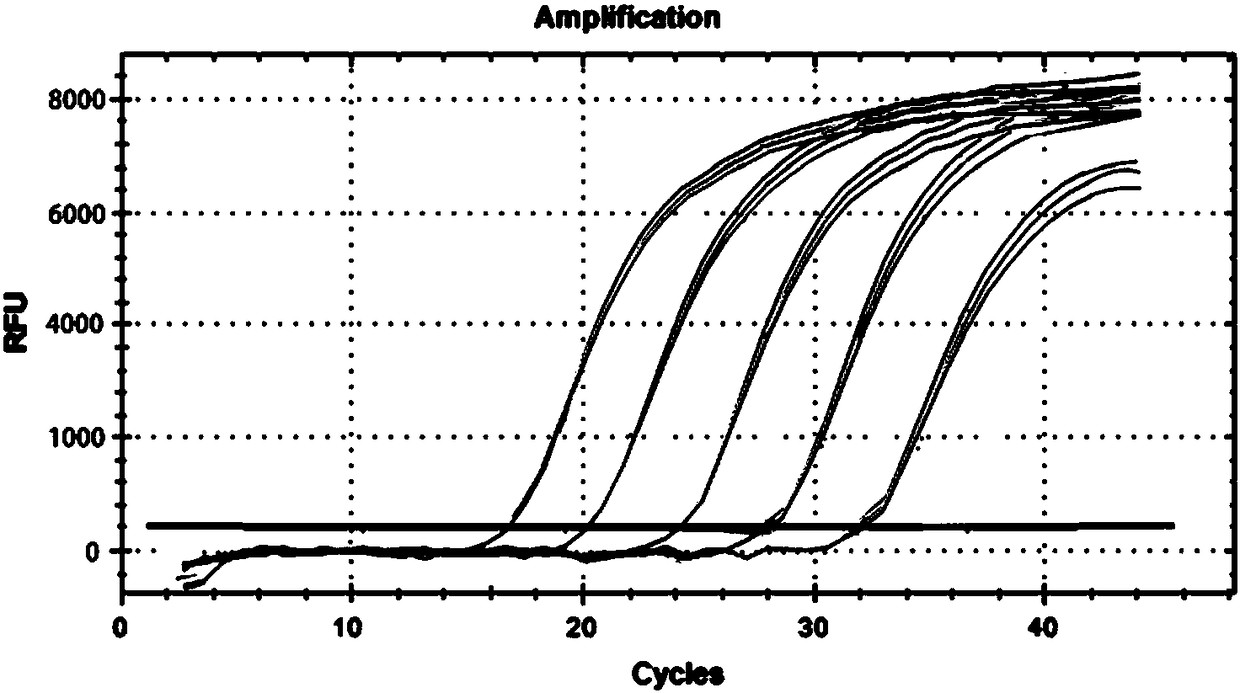 Detection kit and detection method for grass carp hemorrhage virus