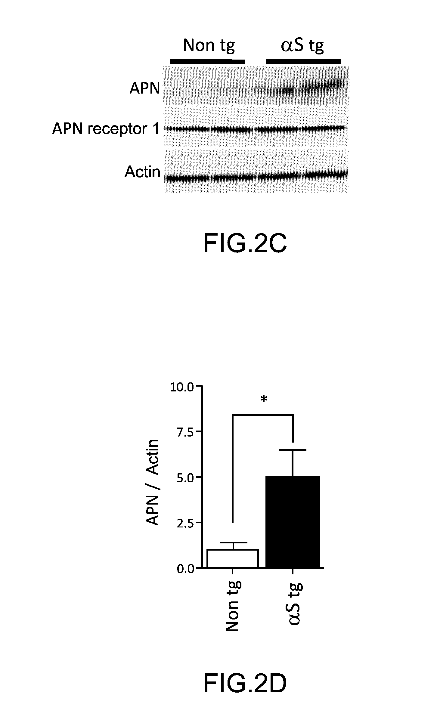 Method for treating and/or preventing neurodegenerative disease by adiponectin receptor agonist