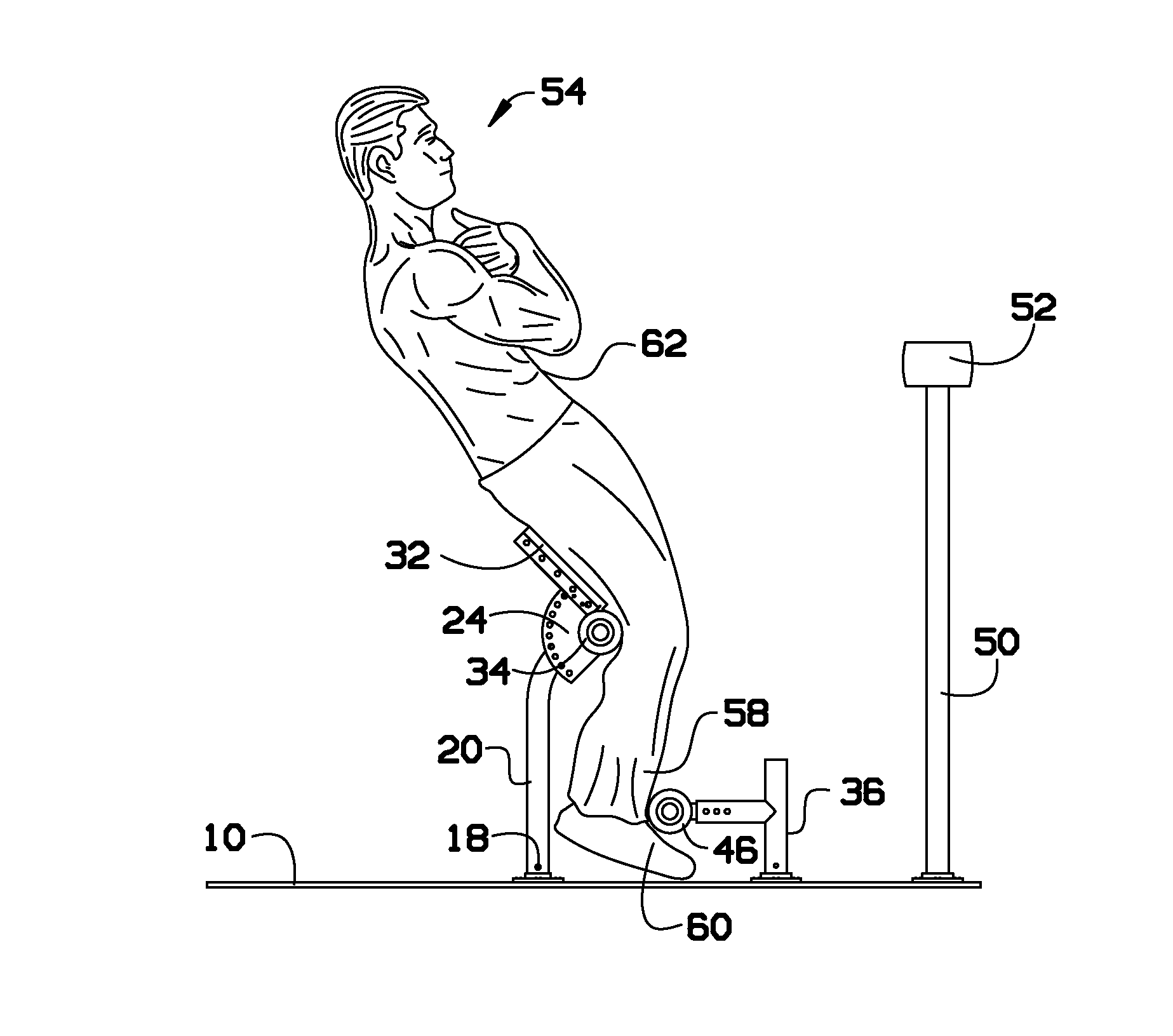Abdominal/back muscle exercise device