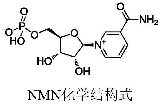 Preparation method of nicotinamide mononucleotide