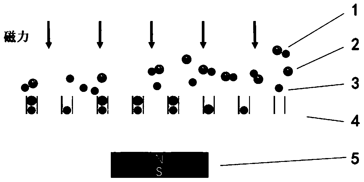 Nanoscale single exosome separation method