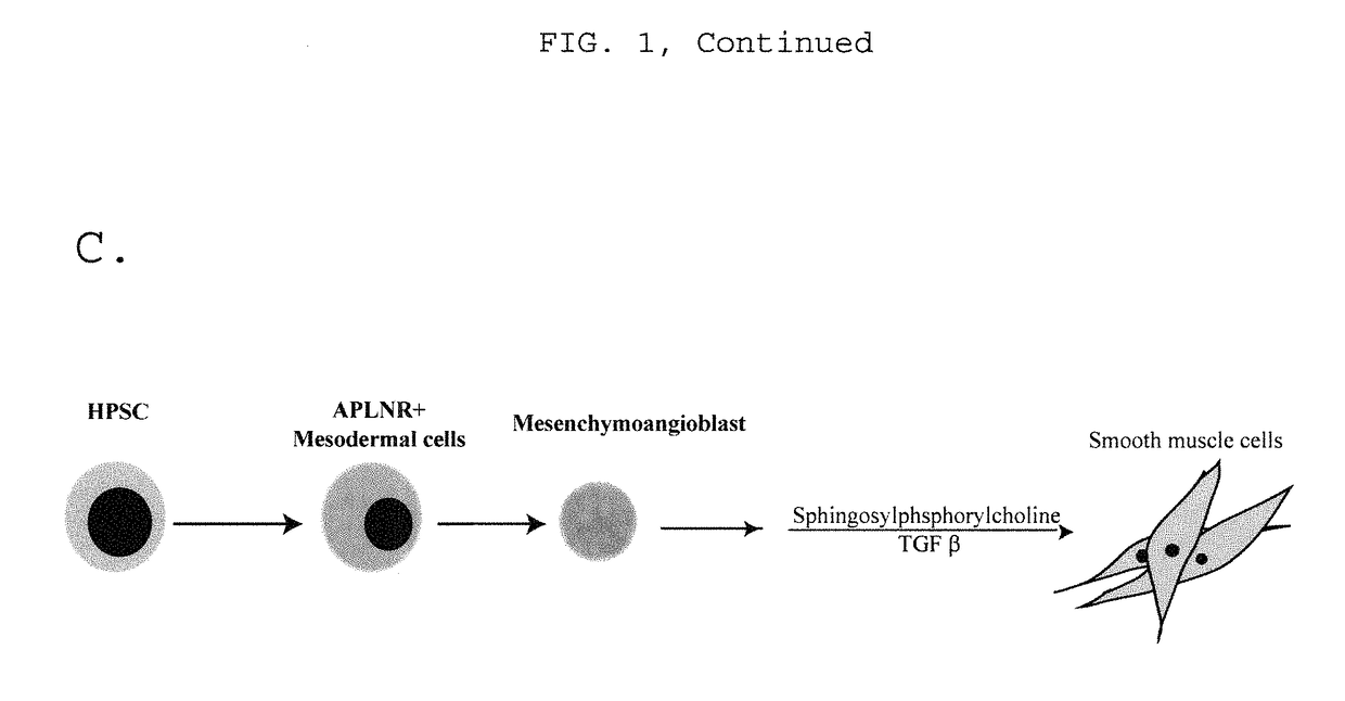 Generating vasculogenic cell populations