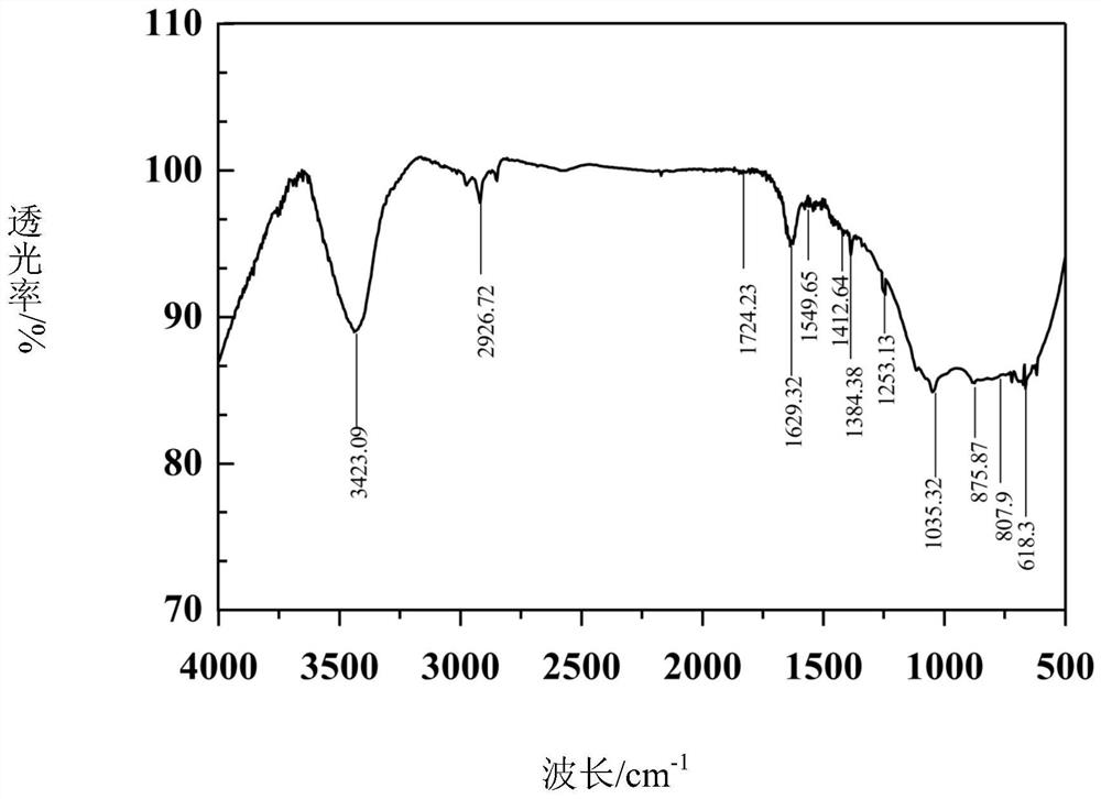 Marasmius androsaceus exopolysaccharide and application thereof