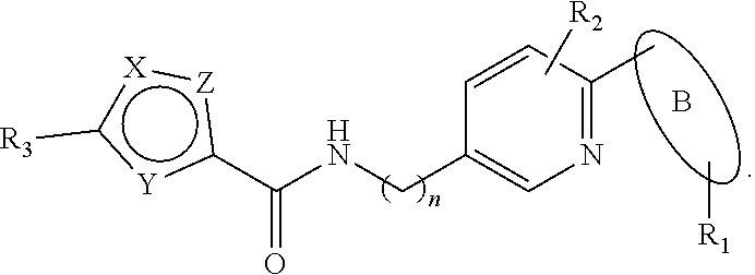 Five-membered heterocyclic amides WNT pathway inhibitor