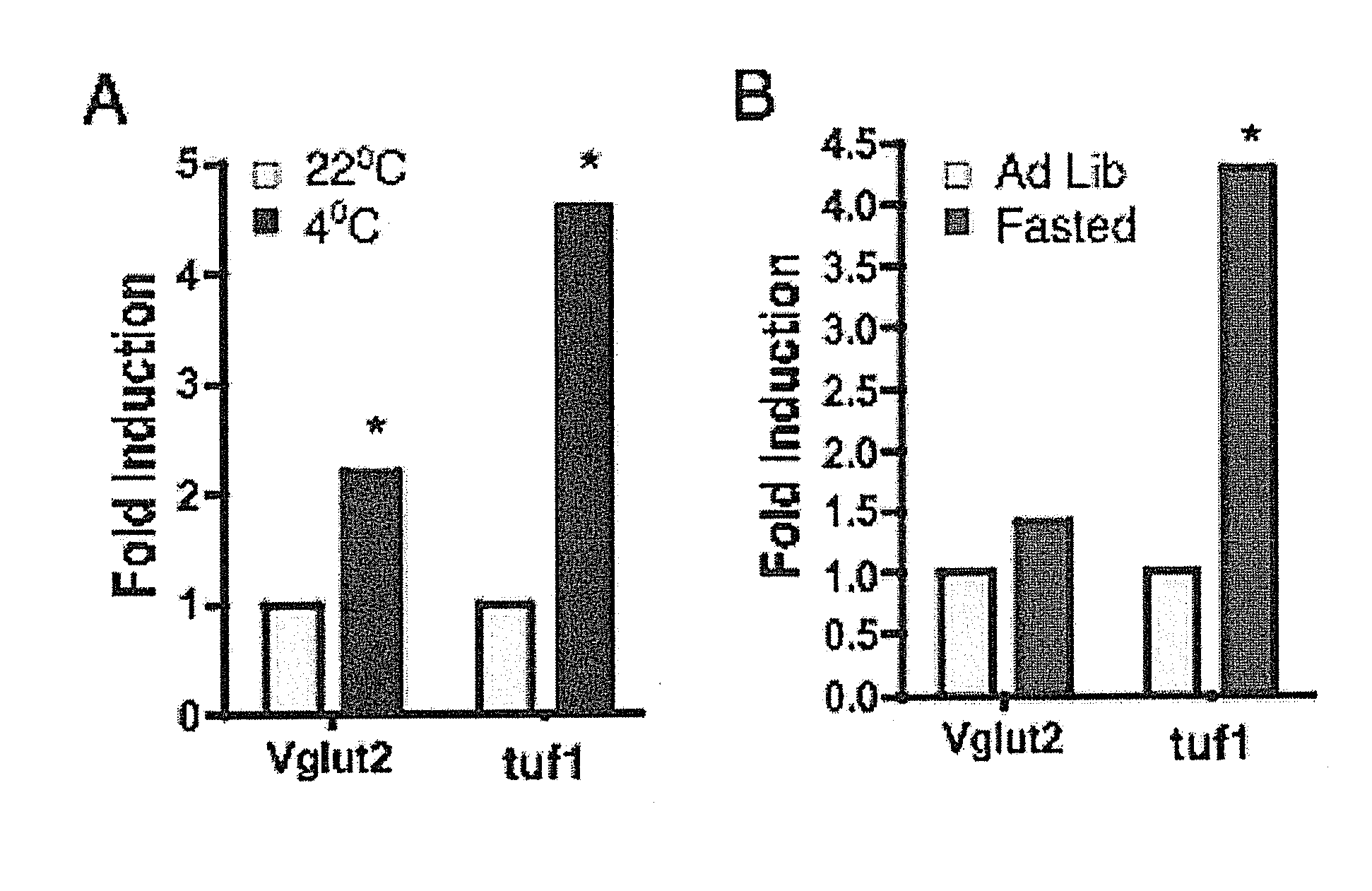 Neurotrophins and uses thereof