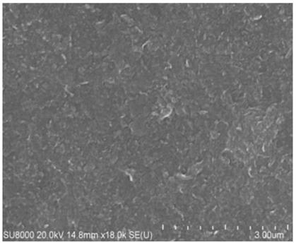 Surface self-cleaning carbon nitride Fenton-photocatalytic nanofiltration membrane and preparation method thereof