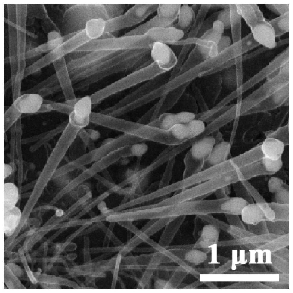 Needle-shaped carbon nano tube for packaging magnetic particles and preparation method of needle-shaped carbon nano tube