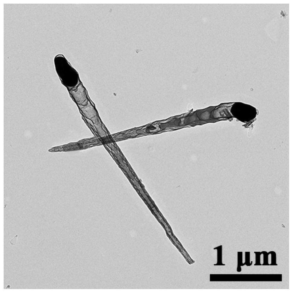 Needle-shaped carbon nano tube for packaging magnetic particles and preparation method of needle-shaped carbon nano tube