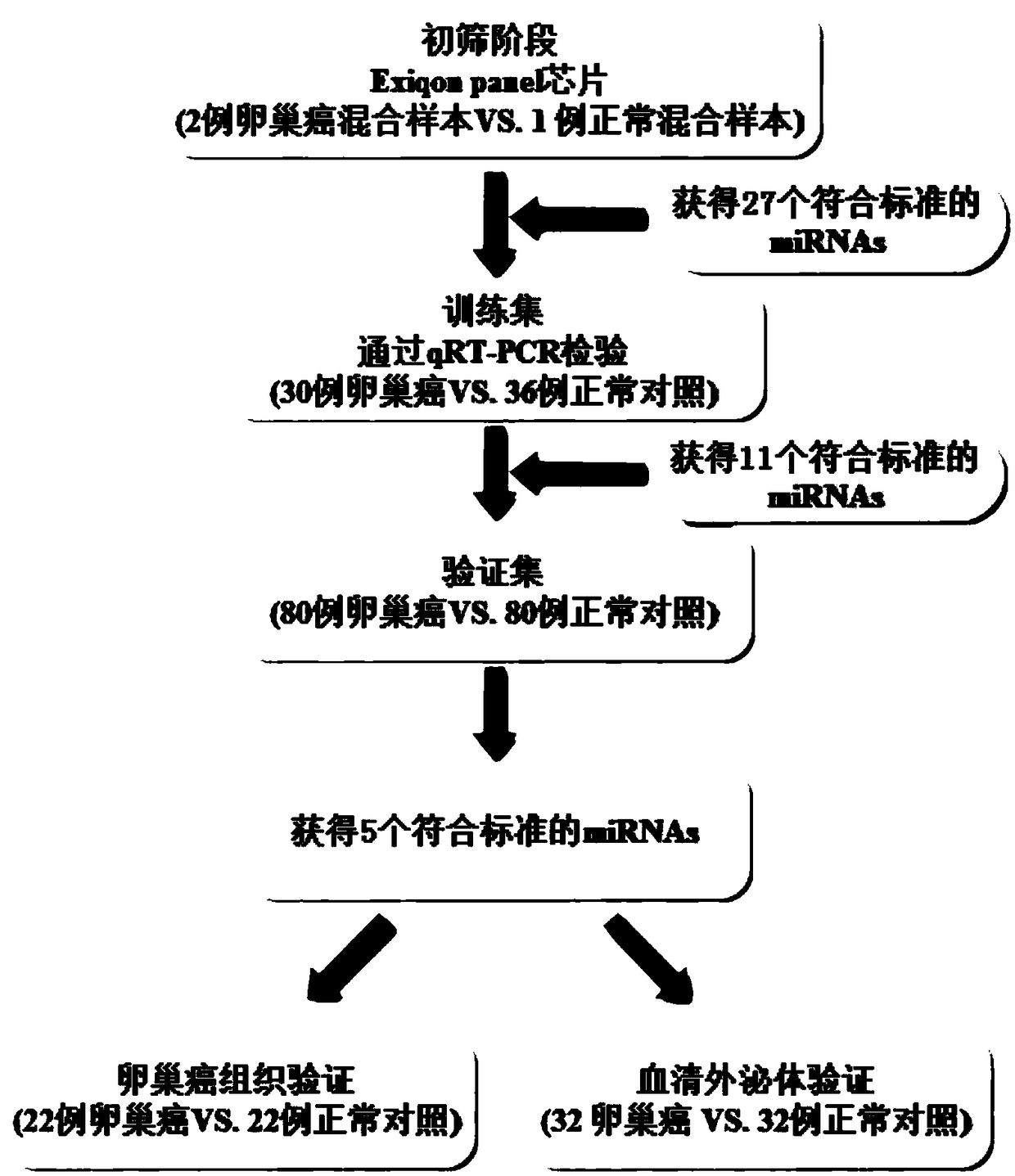 Circulating miRNA marker related toovarian cancer assisted diagnosis and application of marker