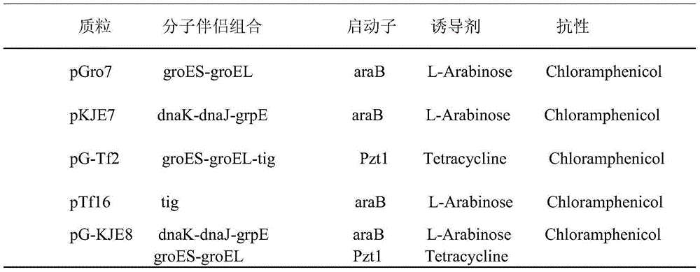 Constructing method and application of gamma-glutamyl transpeptidase and chaperonin coexpression recombinant plasmid