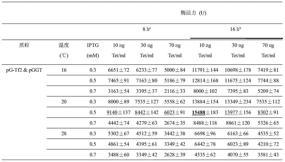 Constructing method and application of gamma-glutamyl transpeptidase and chaperonin coexpression recombinant plasmid