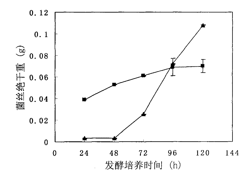Method for culturing coriolus versicolor and inducing oxalate decarboxylase by rice straw carbon source
