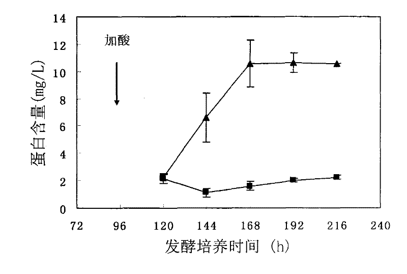 Method for culturing coriolus versicolor and inducing oxalate decarboxylase by rice straw carbon source