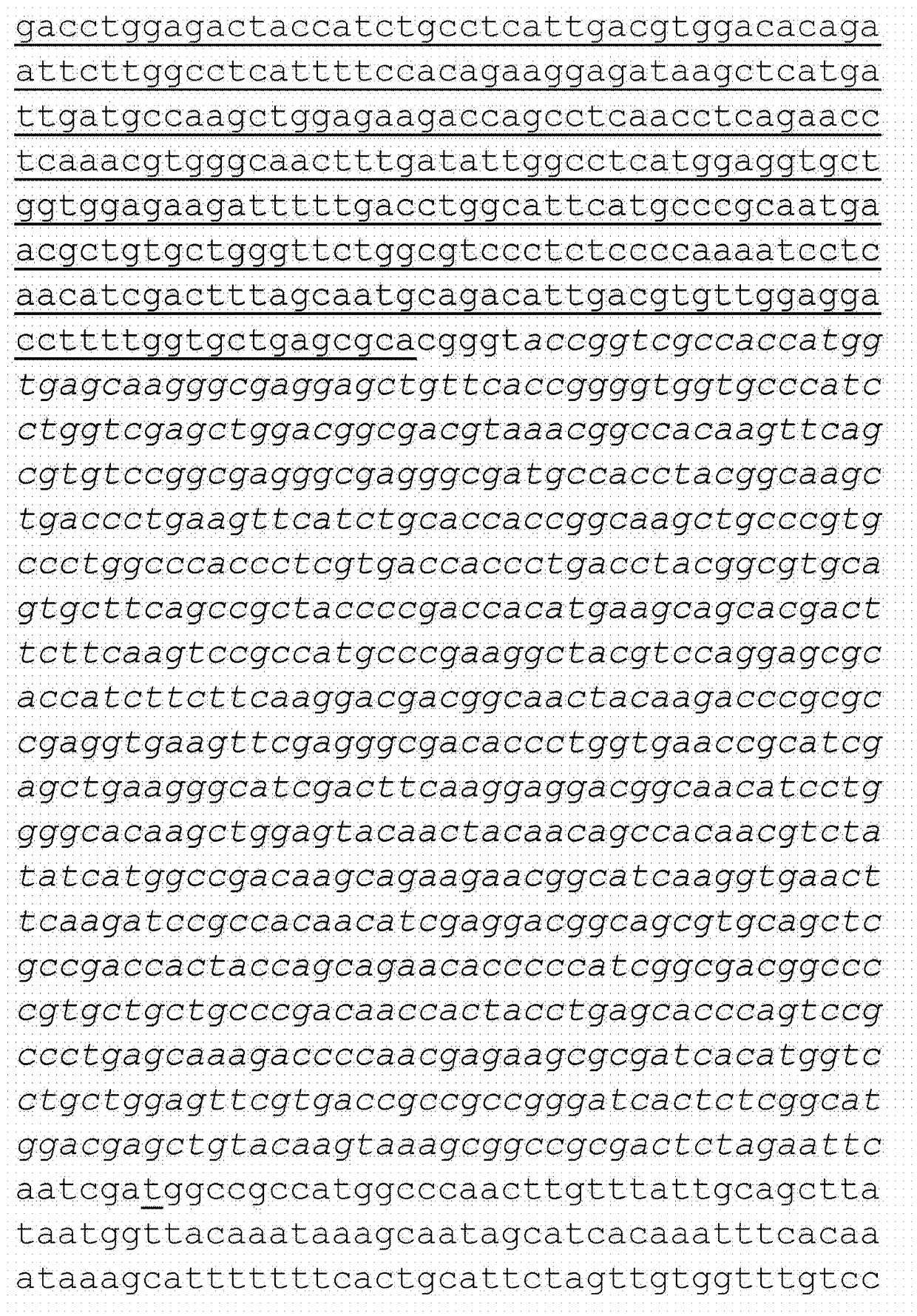 Variant of bpifb4 protein