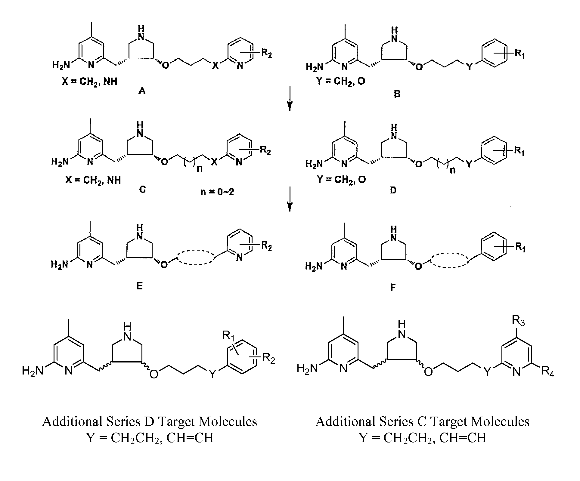Selective Neuronal Nitric Oxide Synthase Inhibitors