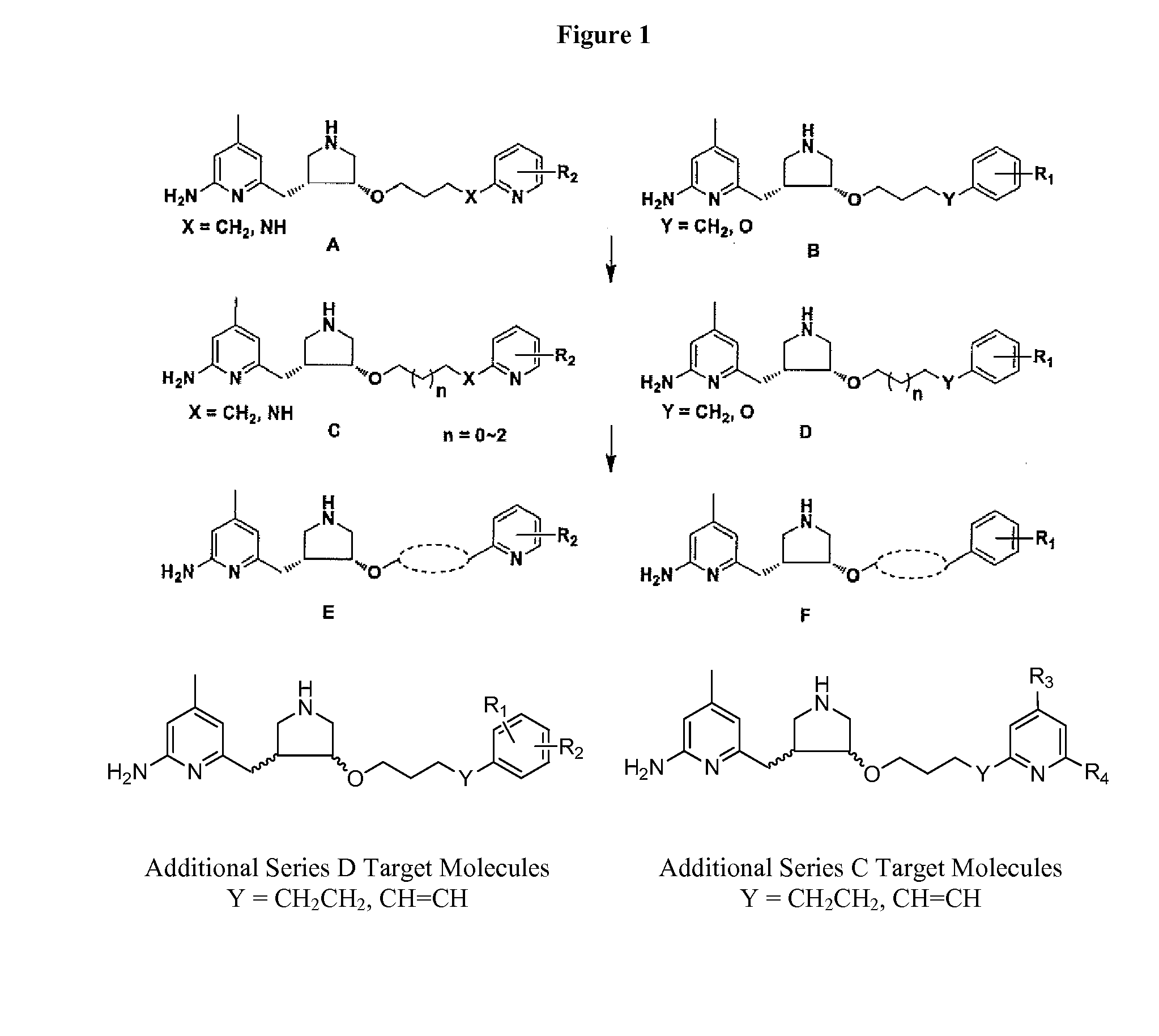 Selective Neuronal Nitric Oxide Synthase Inhibitors