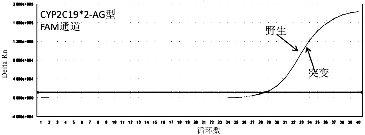 Method and kit for detecting CYP2C19 gene polymorphism