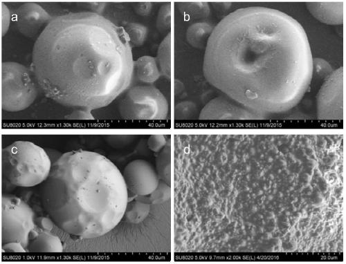 A water-resistant and degradable plant nutrient slow-release material and its preparation method