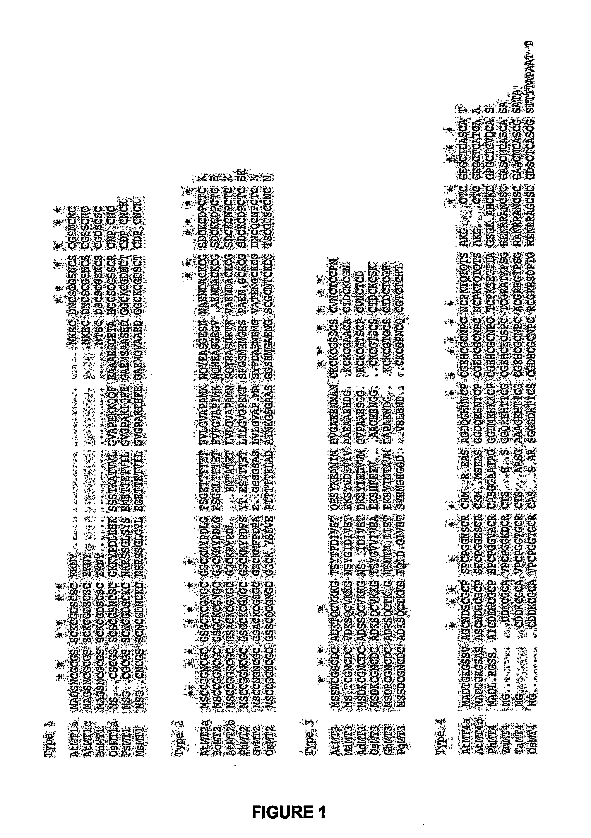 Plants having modified growth characteristics and method for making the same