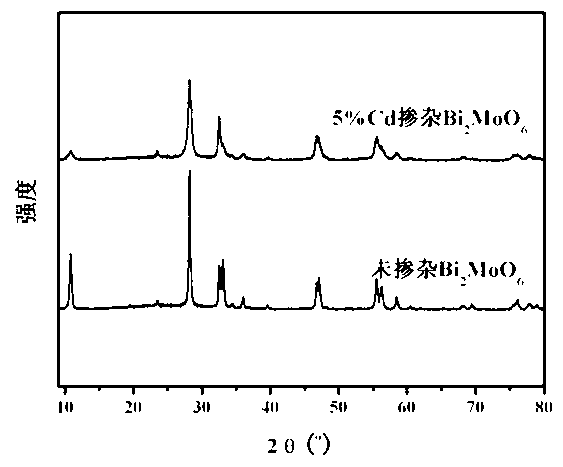 Cadmium-doped bismuth molybdate visible-light-induced photocatalyst and preparation method and application of cadmium-doped bismuth molybdate visible-light-induced photocatalyst