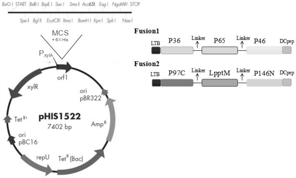 Mycoplasma hyopneumoniae subunit vaccine and its preparation method and application