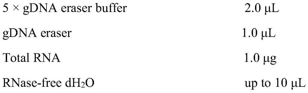 Specific primer pair, reagent and kit for detecting a gene C4BPA mRNA in human peripheral blood leukocytes, and applications of specific primer pair, reagent and kit