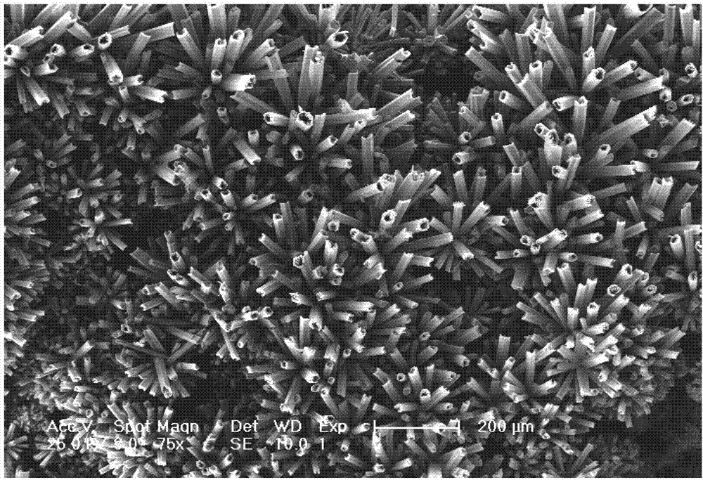 Yttrium-doped aluminum nitride diluted magnetic semiconductor quasi-array microtube and fabrication method of microtube