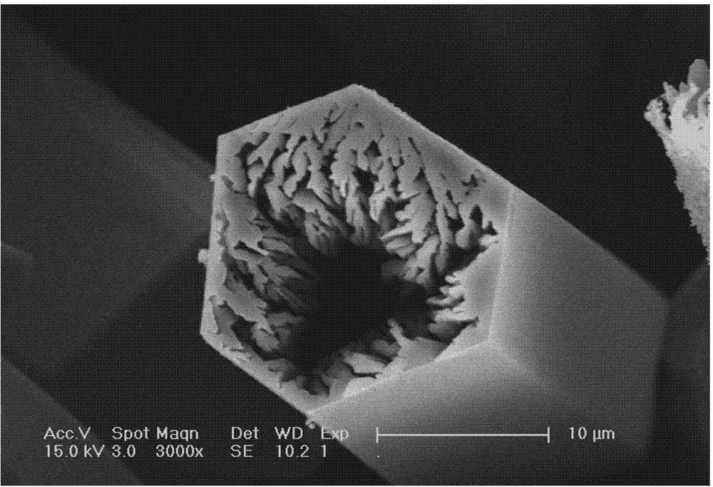 Yttrium-doped aluminum nitride diluted magnetic semiconductor quasi-array microtube and fabrication method of microtube