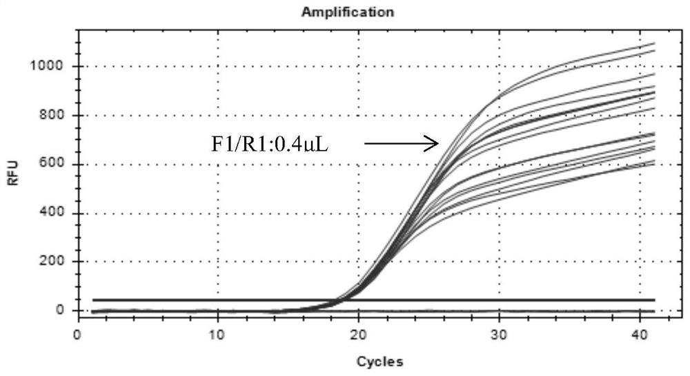 Detection method of infectious bovine rhinotracheitis virus