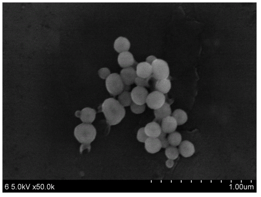 Multifunctional coordination copolymer nanometer material as well preparation method and application thereof