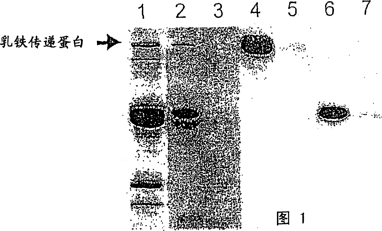 Protease inhibitor